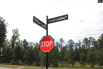 Lot 107 Timber Trail Lane, Prosperity, SC 29127 - Photo 1