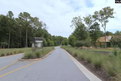 Lot 107 Timber Trail Lane, Prosperity, SC 29127 - Photo 59