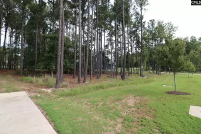 Lot 107 Timber Trail Lane, Prosperity, SC 29127 - Photo 15