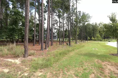 Lot 107 Timber Trail Lane, Prosperity, SC 29127 - Photo 35