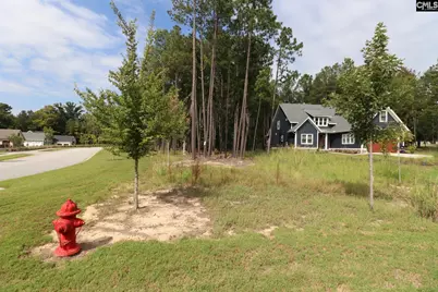 Lot 107 Timber Trail Lane, Prosperity, SC 29127 - Photo 9