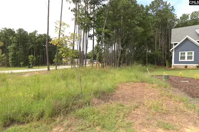 Lot 107 Timber Trail Lane, Prosperity, SC 29127 - Photo 13