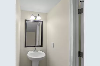 226 Gum Swamp Trail, West Columbia, SC 29169 - Photo 11