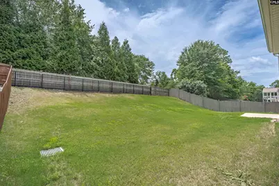 246 Mill House Lane, Lexington, SC 29072 - Photo 55
