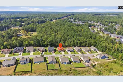 239 Shoals Landing Drive, Columbia, SC 29212 - Photo 29