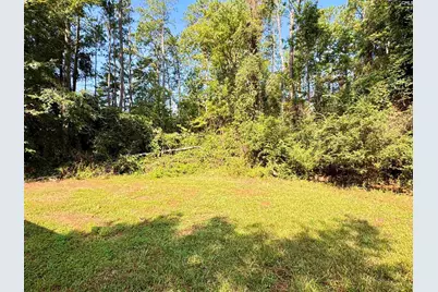 125 Bayfield Lane, Chapin, SC 29036 - Photo 13