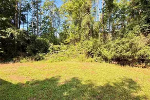 125 Bayfield Ln, Chapin, SC 29036 - Photo 13