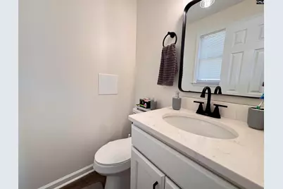 125 Bayfield Lane, Chapin, SC 29036 - Photo 9