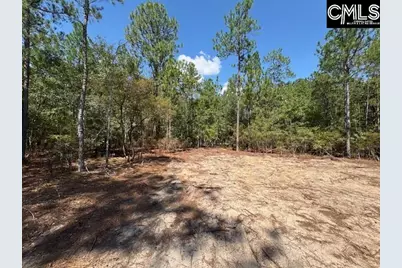 331 Windsong Lane, Pelion, SC 29123 - Photo 15