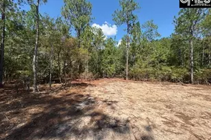 331 Windsong Ln, Pelion, SC 29123 - Photo 15