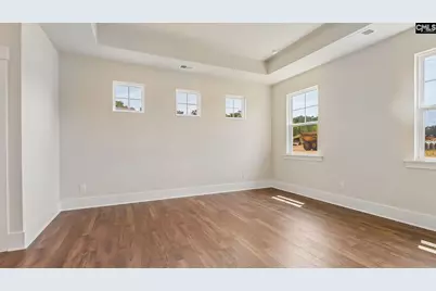 265 Livingston Woods Drive, Irmo, SC 29063 - Photo 7