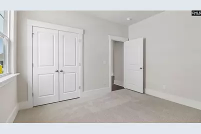 265 Livingston Woods Drive, Irmo, SC 29063 - Photo 17