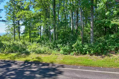 10 Northslope View, Landrum, SC 29356 - Photo 19