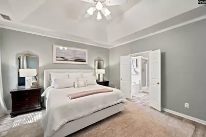 6 Swainson Court, Irmo, SC 29063 - Photo 17