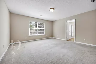 80 Crossfox Court, Chapin, SC 29036 - Photo 17