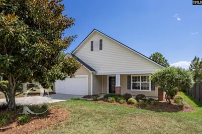 80 Crossfox Court, Chapin, SC 29036 - Photo 1