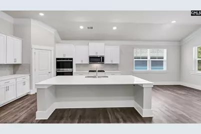 141 Sunny Stream Drive, Chapin, SC 29036 - Photo 3
