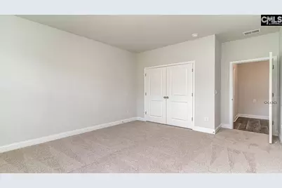 145 Sunny Stream Drive, Chapin, SC 29036 - Photo 13