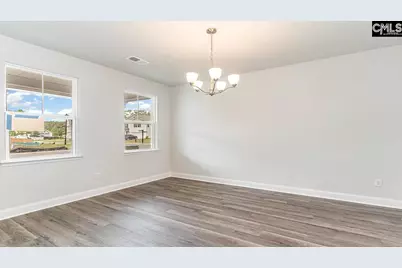 145 Sunny Stream Drive, Chapin, SC 29036 - Photo 3
