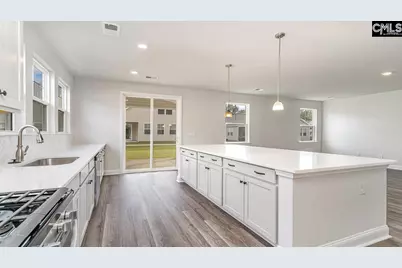 145 Sunny Stream Drive, Chapin, SC 29036 - Photo 7