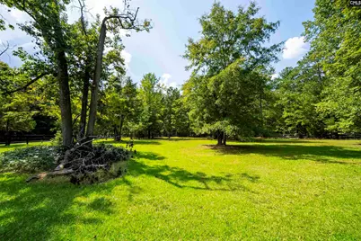 12 Dennis Lane, Blythewood, SC 29016 - Photo 73