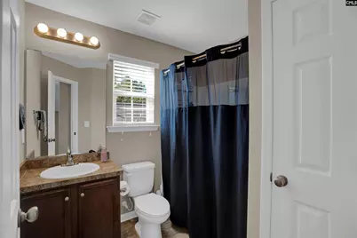 191 Whispering Oak Lane, Chapin, SC 29036 - Photo 17