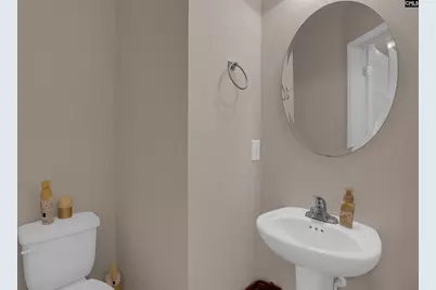 191 Whispering Oak Lane, Chapin, SC 29036 - Photo 27