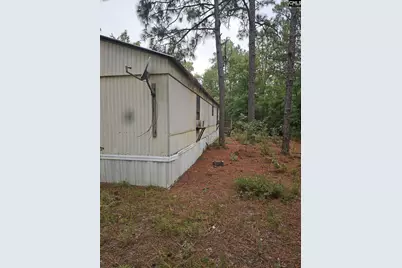 406 Sells Court, Pelion, SC 29123 - Photo 7