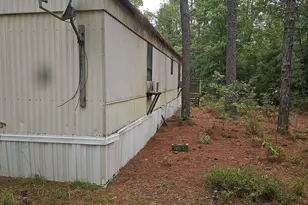 406 Sells Ct, Pelion, SC 29123 - Photo 7