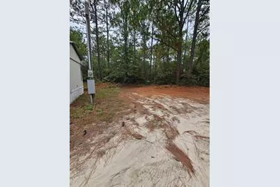 406 Sells Court, Pelion, SC 29123 - Photo 3