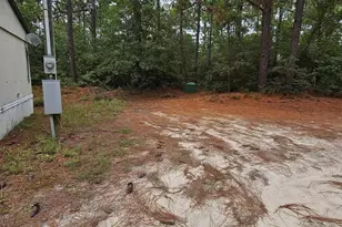 406 Sells Ct, Pelion, SC 29123 - Photo 3