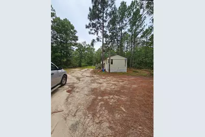 406 Sells Court, Pelion, SC 29123 - Photo 9