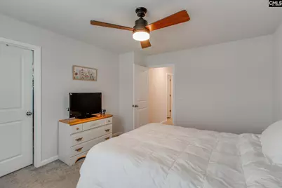 907 N Sage Drop Road, Blythewood, SC 29016 - Photo 23