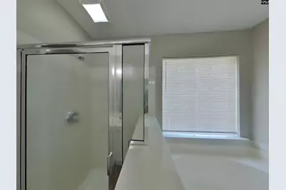 409 Baneberry Lane, Lexington, SC 29073 - Photo 11
