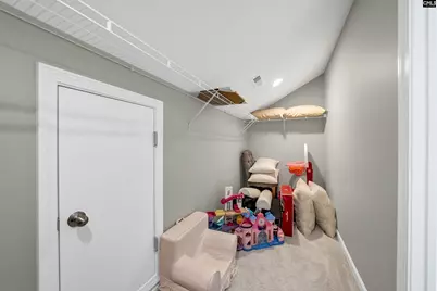 324 Crassula Drive, Lexington, SC 29073 - Photo 29