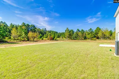 169 Olin Rikard Road, Gaston, SC 29053 - Photo 35