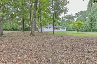 60 Savannah Road, Bishopville, SC 29010 - Photo 3