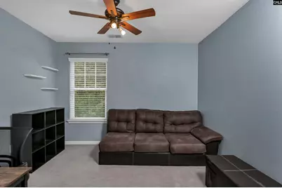 163 Stanley Court, Lexington, SC 29073 - Photo 19