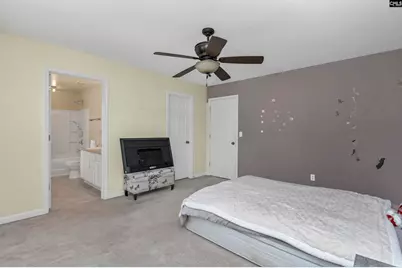 163 Stanley Court, Lexington, SC 29073 - Photo 15