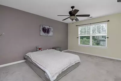 163 Stanley Court, Lexington, SC 29073 - Photo 13