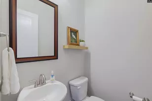 291 Palm Sedge Loop, Elgin, SC 29045 - Photo 15