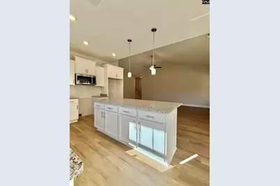 110 S  Cub Lane, Elgin, SC 29045 - Photo 17