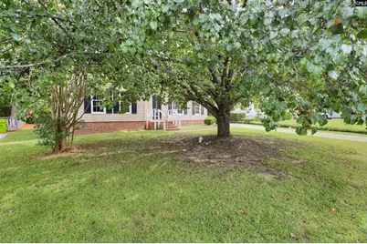 92 Old Well Road, Irmo, SC 29063 - Photo 9