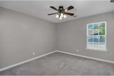 539 Old Bush River Road, Chapin, SC 29036 - Photo 33