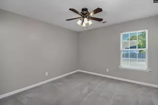 539 Old Bush River Rd, Chapin, SC 29036 - Photo 33