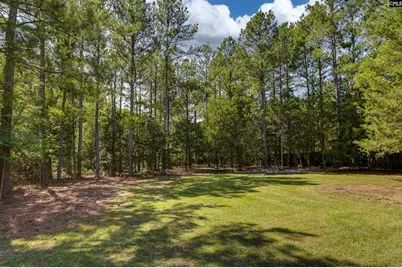 539 Old Bush River Road, Chapin, SC 29036 - Photo 47