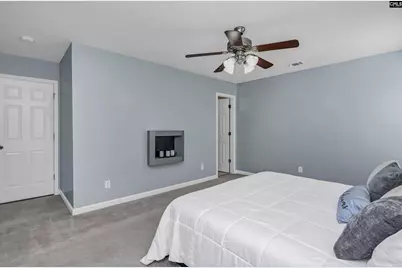 539 Old Bush River Road, Chapin, SC 29036 - Photo 23