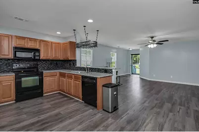 539 Old Bush River Road, Chapin, SC 29036 - Photo 15