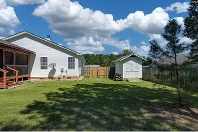539 Old Bush River Road, Chapin, SC 29036 - Photo 45