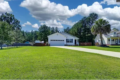 539 Old Bush River Road, Chapin, SC 29036 - Photo 3